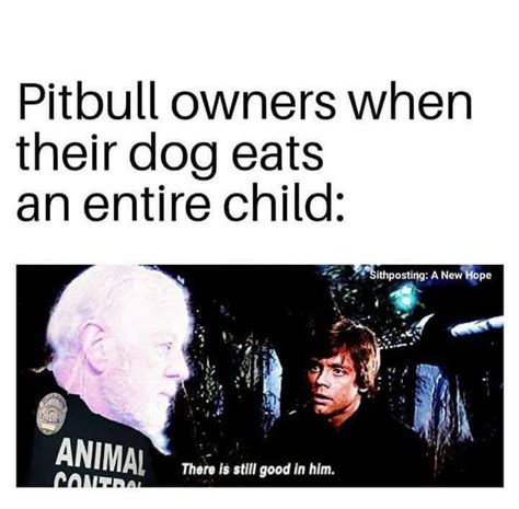 Pin on Pitbull Memes