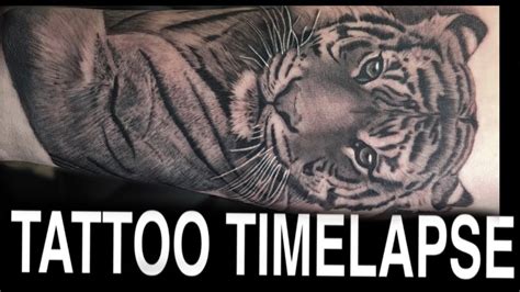 TATTOO TIMELAPSE | TIGER | CHRISSY LEE - YouTube