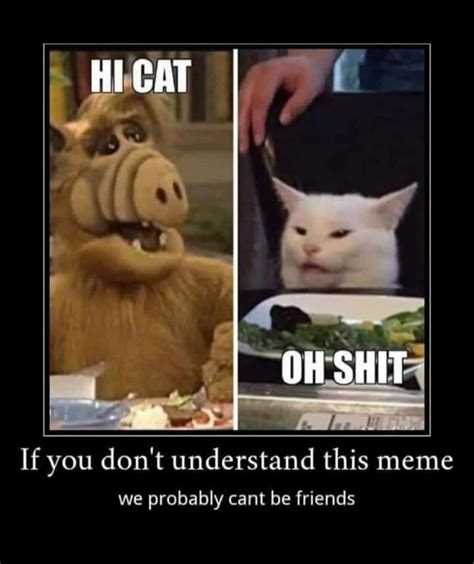 ALF : r/meme