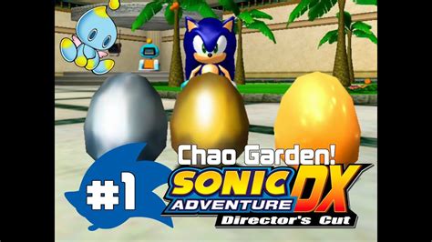 Sonic Adventure DX %100 Walkthrough - Chao Garden - Part 1 - YouTube