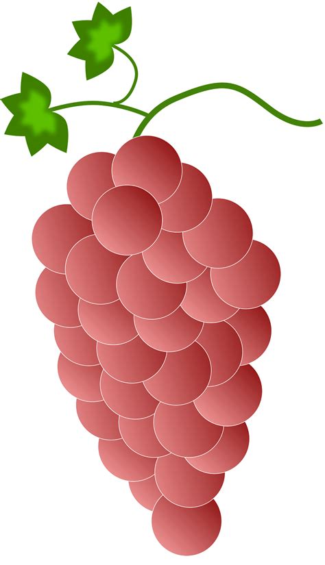 Clipart Grapes 3 - Red Grapes Clipart PNG Image | Transparent PNG ...