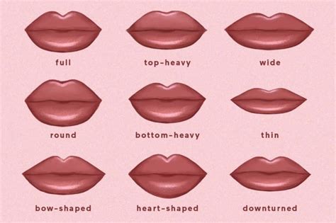 Which Of The 9 Lip Shapes Do You Have? Plus, How To Enhance Each | Lip shapes, Heart shaped lips ...