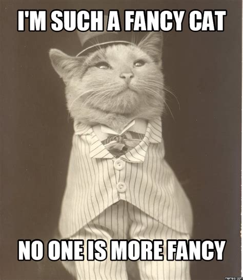 I'm such a Fancy Cat No one is more fancy | Memes.com