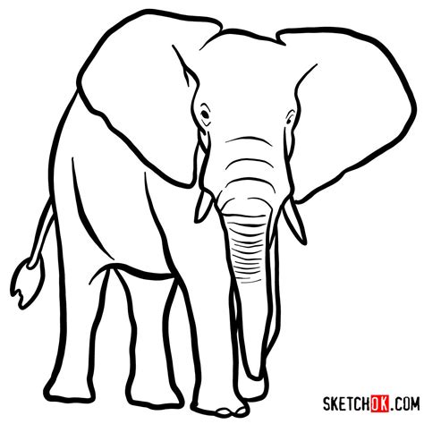 How to draw an Elephant front view | Wild Animals - Sketchok easy drawing guides