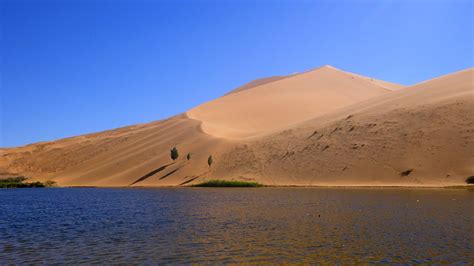 Why Are Desert Lakes Often Salty? The 6 Correct Answer - Barkmanoil.com