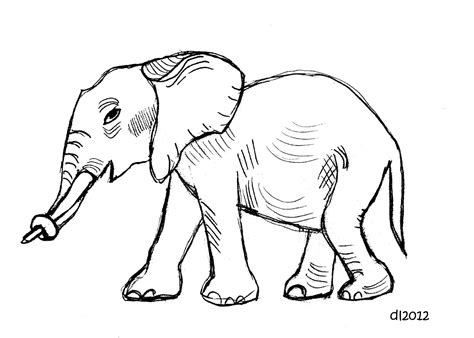 Deborah Leigh: Elephant Sketch