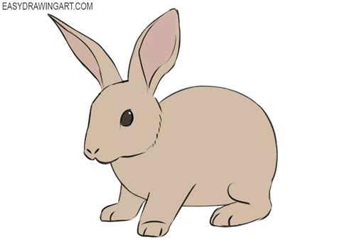 How to Draw a Rabbit - Easy Drawing Art