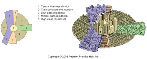 City Structure Models | Ap human geography, Urban, Theories