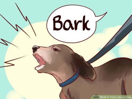 TRAINING PUPPY FOR APPROPRIATE BARKING |TheDogPlace.org