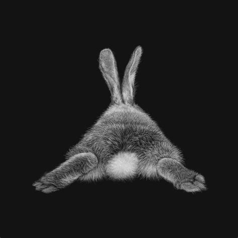 Bunny Scratchboard Art