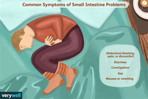 Small Intestine Problems: Causes, Remedies, Treatment