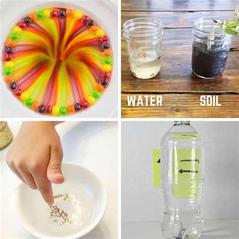 Science Experiments for Toddlers and Preschoolers - My Bored Toddler