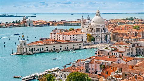 Just Landed: The water in Venice's canals is clear… but there were never any dolphins | Escapism TO