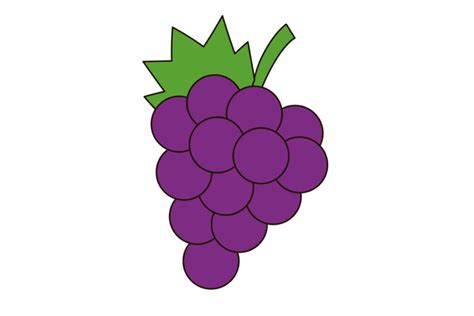 How To Draw Grapes - Amountaffect17