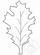 Oak Leaves Coloring Pages Printable Sketch Page sketch template