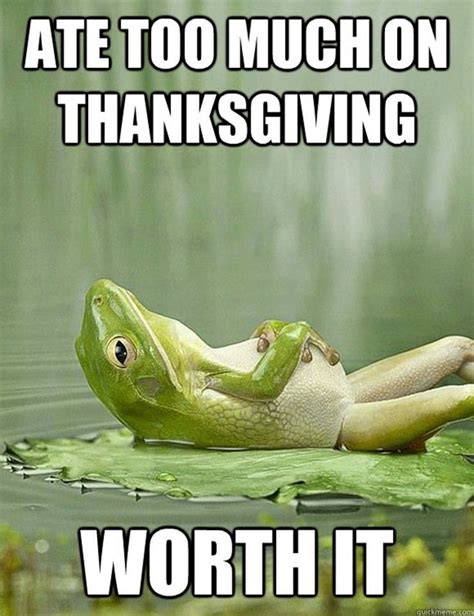 12 Funny Thanksgiving Memes That Capture Our Feelings For That Holiday | Funny thanksgiving ...