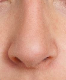 Human nose PNG