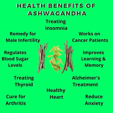Health Benefits of Ashwagandha (10 scientifically proven)