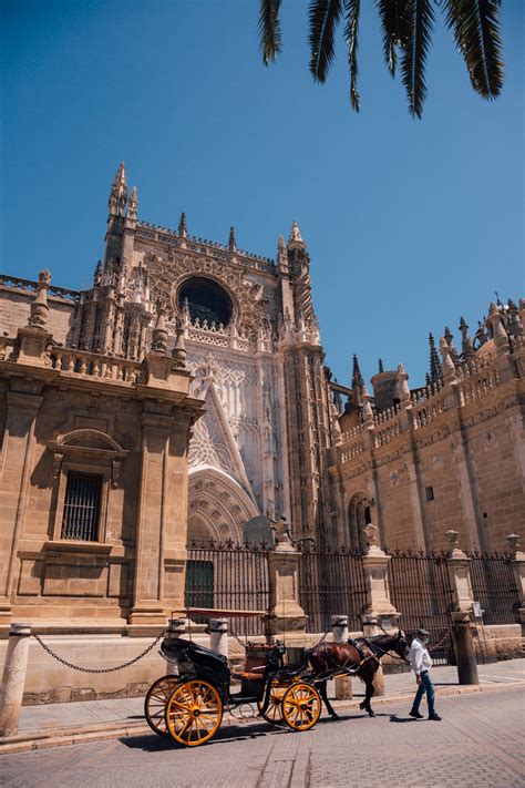 Seville Cathedral & Giralda Tower - VIVA LA VITA