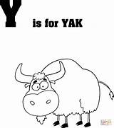 Letter Y Is For Yak coloring Page  Free Printable Coloring Pages sketch template