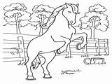 Free Printable Horse Coloring Pages For Kids sketch template