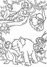 Jungle Book Coloring Pages  Best For Kids sketch template