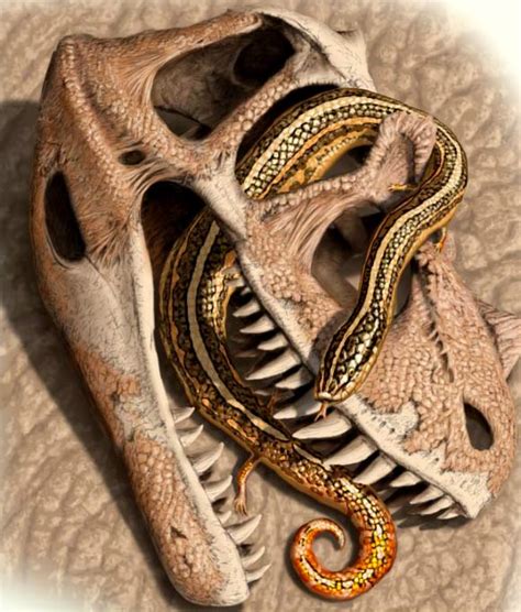 Paleontologists Find World's Oldest Known Snake Fossils | Paleontology ...