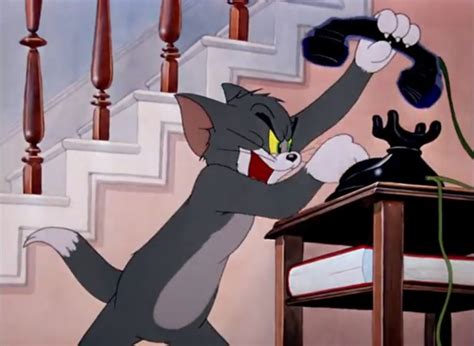 13 Tom & Jerry Meme Templates That Prove We're All Like Them!