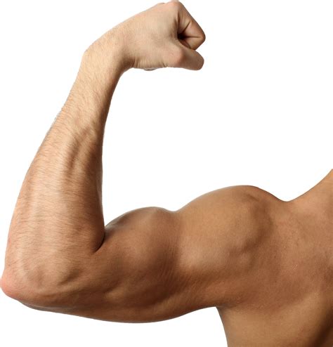 Muscle hand PNG