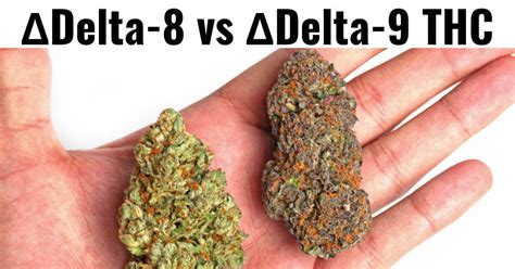 Delta-8THC comparison to Delta 9 | difference between