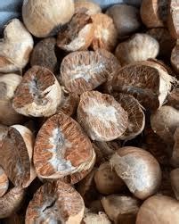 16 Medicinal Health Benefits Of Areca Nut (Betel Nut) - Agric4Profits