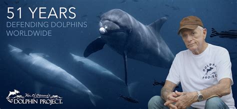 Dolphin Project: 51 Years Defending Dolphins Worldwide! | Dolphin Project