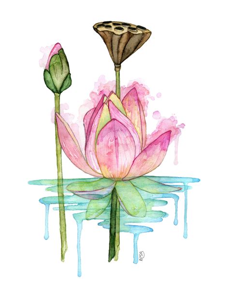 Watercolor Painting Lotus Painting Watercolor Print | Etsy