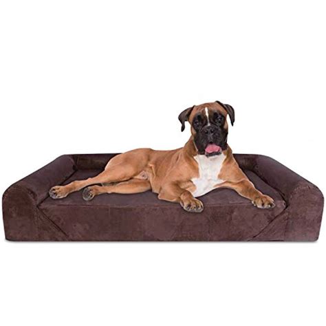 5 Best Dog Beds For Hip Dysplasia [2024 Reviews]