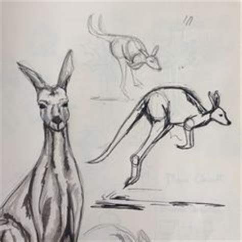 kangaroo drawing pics | Kangaroo Pencil Drawing | Drawings & Photos | Pinterest | Drawing pics ...