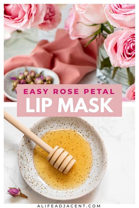 2-Step DIY Plumping Rose Petal Lip Mask for Soft, Plump Lips | Diy lip ...