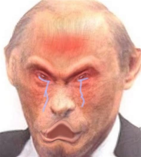 Crying Upset Monkey | Monkey Putin | Know Your Meme