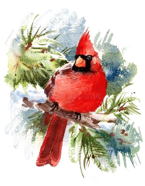 Cardinal Bird Watercolor Winter Illustration Hand Drawn stock illustration | Watercolor bird ...