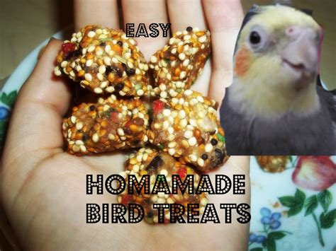 Homemade Treats for Your Bird – Paco Parrot's Blog