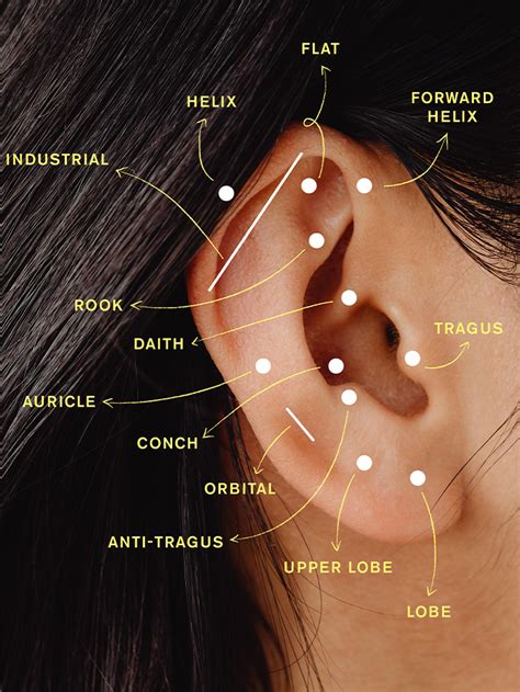 Ear Piercing Chart For Different Ear Shapes