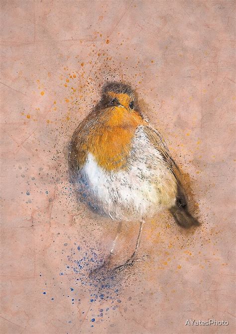 "Vintage robin print" by AYatesPhoto | Redbubble