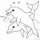 Two Dolphins Playing Coloring Page  Free Printable Pages sketch template
