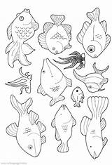Print & Download  Cute And Educative Fish Coloring Pages sketch template