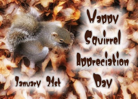 Every Day's a Holiday: Go Nuts! It's Squirrel Appreciation Day ~ January 21