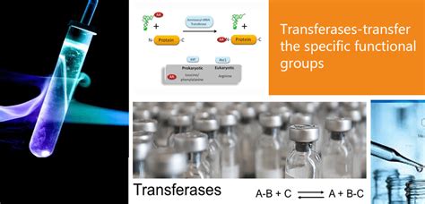 Transferases