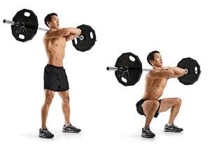 Front Barbell Squat • Bodybuilding Wizard