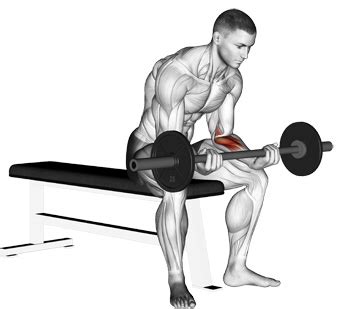 Barbell Wrist Curls - Form Fundamentals And Advanced Tricks For High Intensity Forearm Training ...