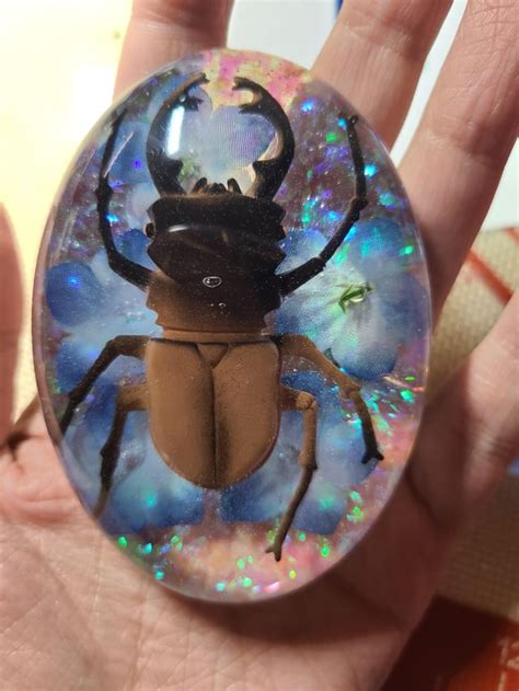 My first bug in resin! This one is fake, but I will be casting the real one. : r/resin