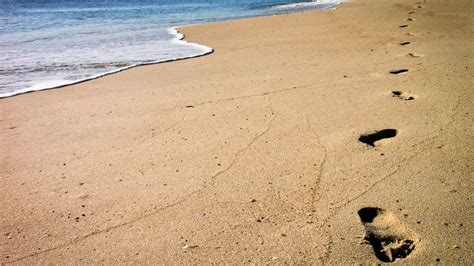 Barefoot Beach Running! On my #summerworkout list #fitnessfriday ...