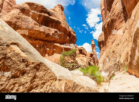 Narrow Sandstone Desert Rock Canyon with Steep Walls in Fiery Furnace ...